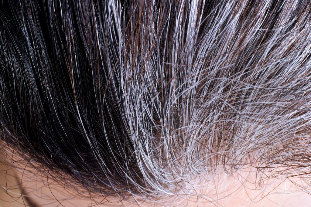 Can Gray Hair Be Highlighted?